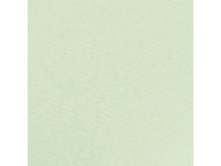 Clairefontaine Papier cadeau 'kraft', vert bourgeon