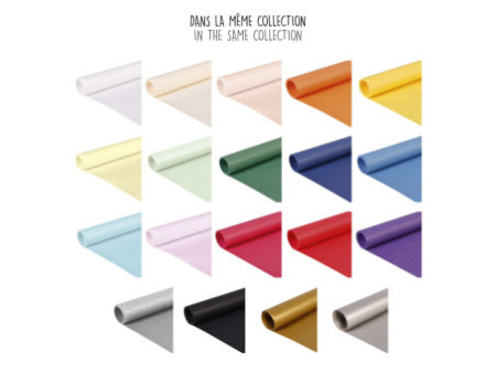 Clairefontaine Papier d'emballage 'Color', 700 x 3 m, argent