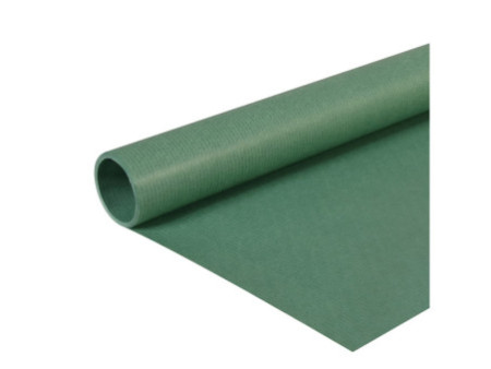 Clairefontaine Papier cadeau 'kraft', vert mousse
