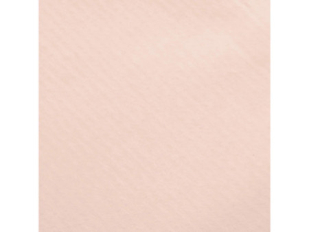 Clairefontaine Papier cadeau 'kraft', pêche
