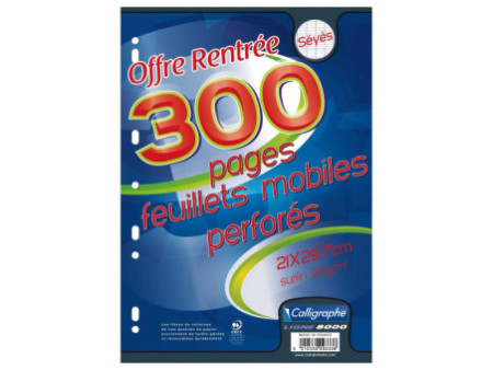 Calligraphe Feuillets mobiles perforés, A4, séyès