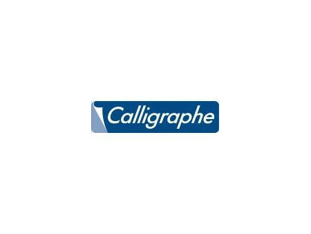 Calligraphe Feuillets mobiles perforés, A4, séyès
