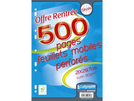 Calligraphe Feuillets mobiles perforés, A4, séyès