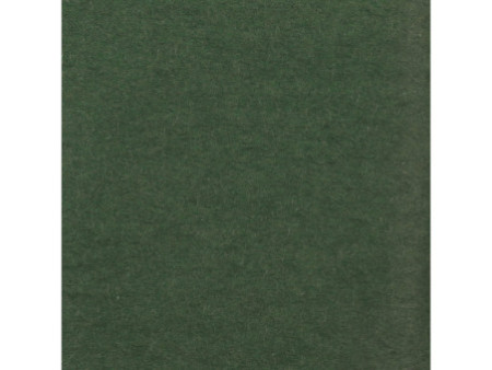 Clairefontaine Papier de soie, (l)500 x (H)750 mm, vert