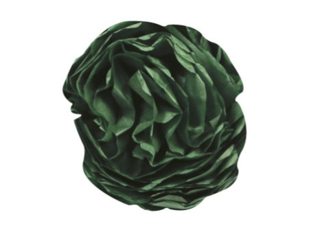 Clairefontaine Papier de soie, (l)500 x (H)750 mm, vert