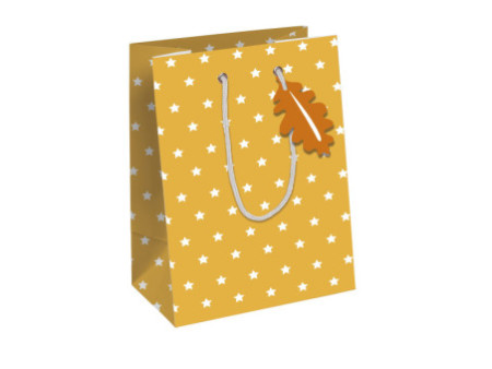 Clairefontaine Sac cadeau de Noël 'Fox', moyen