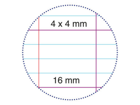 Clairefontaine Cahier piqûre Clairenfantine, 170 x 220 mm