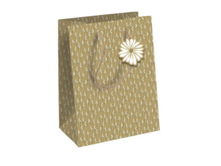 Clairefontaine Papier cadeau 'Kraft blanc/brun', présentoir