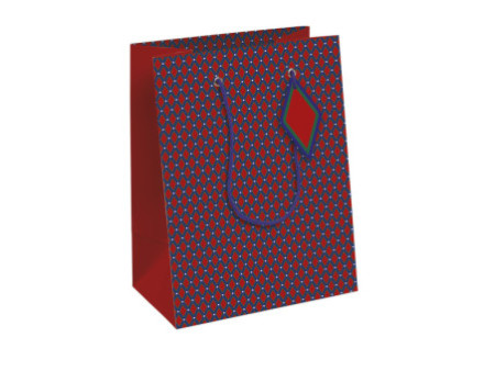 Clairefontaine Sac cadeau 'Géométrique', moyen