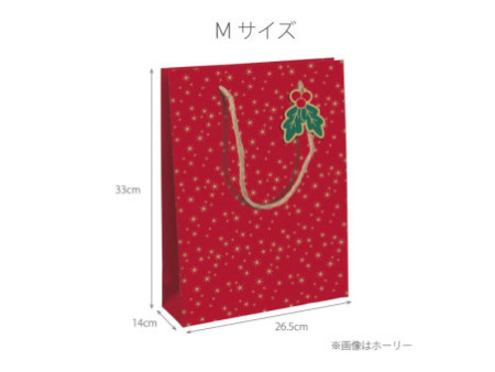 Clairefontaine Sac cadeau de Noël 'Petit Papa Noël', moyen