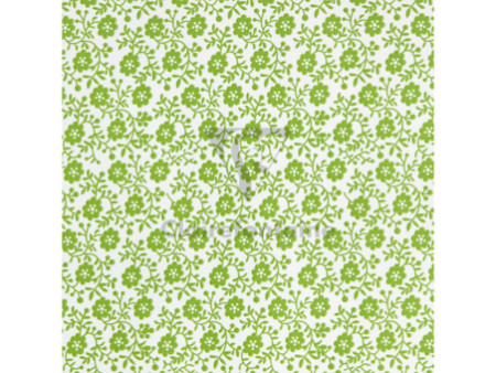 Clairefontaine Papier cadeau 'Tiny Rolls fleurs vertes'