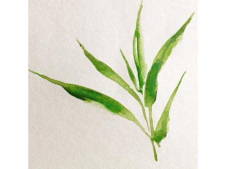 Clairefontaine Bloc de papier aquarelle BAMBOO, 250 g/m2, A5