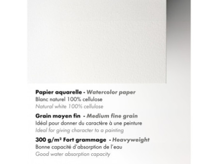 Clairefontaine Bloc de papier aquarelle AQUAPAD, 300 g/m2,A1