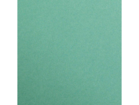 Clairefontaine Papier de couleur 'MAYA', A1, vert sapin