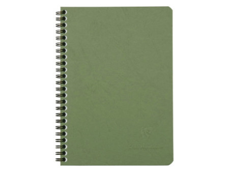 Clairefontaine Carnet AGE BAG, A5, ligné, vert