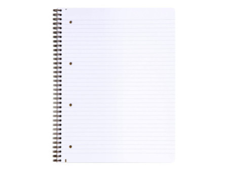 Clairefontaine Carnet AGE BAG, A4+, ligné, tabac