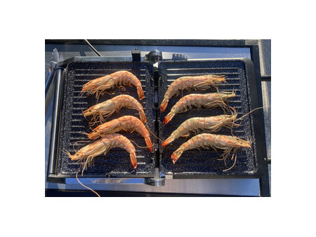 Little balance Gril Electronic Grill, 2.000 watts, noir