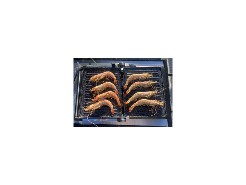 Little balance Gril Electronic Grill, 2.000 watts, noir