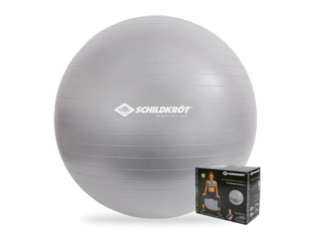 SCHILDKRÖT Ballon de gymnastique, diamètre: 550 mm, argent