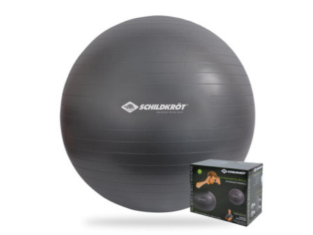 SCHILDKRÖT Ballon de gymnastique, diamètre:850 mm,anthracite