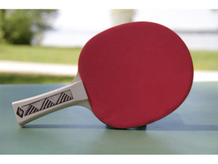 DONIC SCHILDKRÖT Raquette de tennis de table Champs Line 150