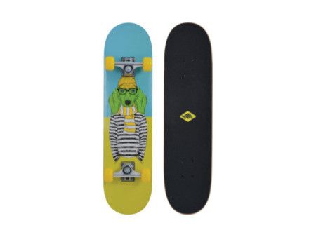 SCHILDKRÖT Skateboard 'Kicker 31' Green Dog