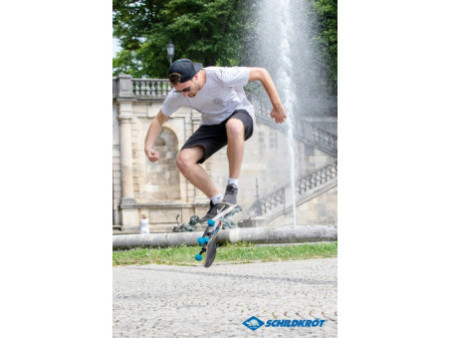 SCHILDKRÖT Skateboard 'Slider 31' Monsters