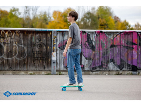 SCHILDKRÖT Skateboard rétro Native Green