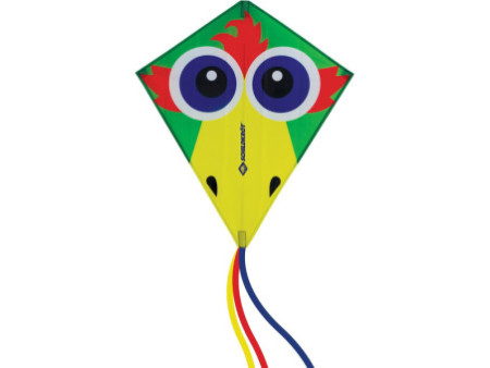 SCHILDKRÖT Cerf-volant acrobatique Classic Kite70 Crazy Bird