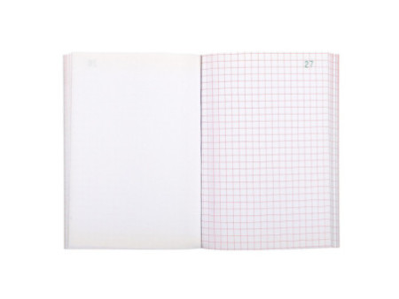 EXACOMPTA Manifold 'Quadrillé', 148 x 105 mm, dupli
