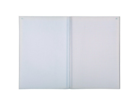 EXACOMPTA Manifold 'Quadrillé', 297 x 210 mm, dupli