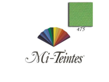 CANSON Papier dessin Mi-Teintes, 500 x 650 mm, vert pomme