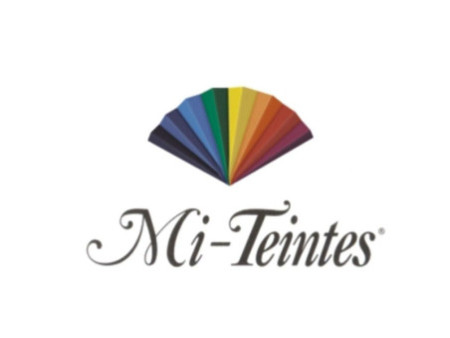 CANSON Papier dessin Mi-Teintes, 500 x 650 mm, vert pomme