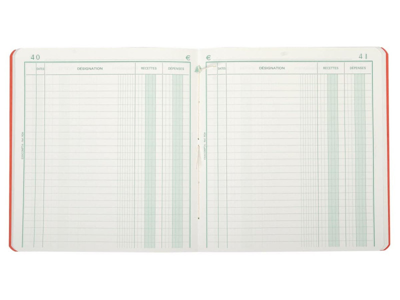EXACOMPTA Piqûre 'Recettes et dépenses', 210 x 190 mm