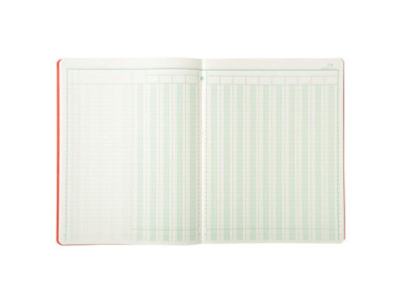 EXACOMPTA Piqûre, 15 colonnes sur 2 pages, 33 lignes