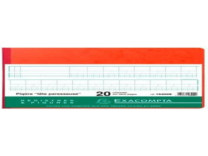 EXACOMPTA Piqûre tête paresseuse, 20 colonnes sur 2 pages