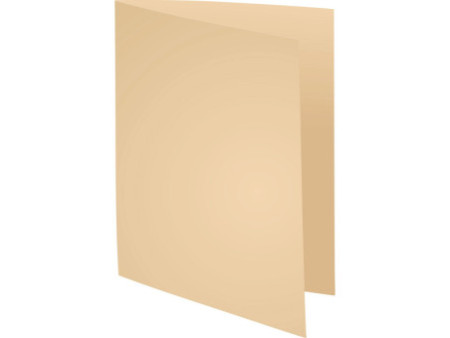 EXACOMPTA Chemises FOREVER 250, A4, bulle