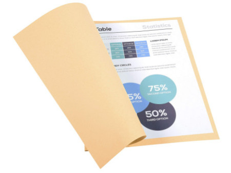 EXACOMPTA Chemises FOREVER 250, A4, bulle