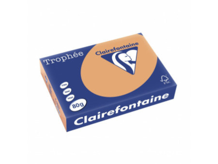 Clairefontaine Papier universel Trophée, A4, caramel