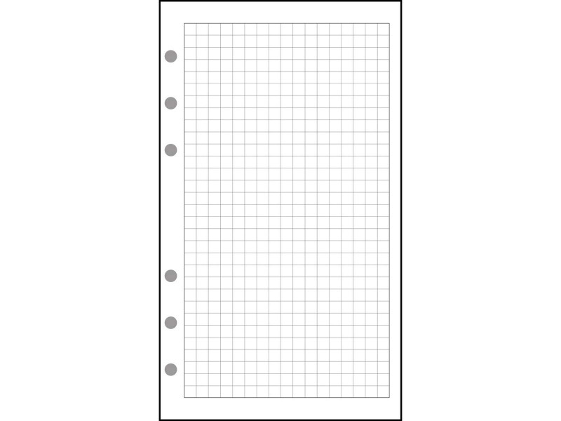 EXACOMPTA Recharge pour Exatime 17, feuillet quadrillé 5 x 5