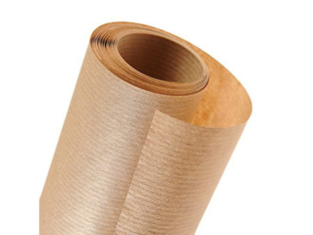 CANSON papier emballage kraft, 60 g/m2, 1m x 10 m, marron