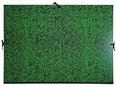 EXACOMPTA Carton à dessin Annonay, 640 x 760 mm, vert