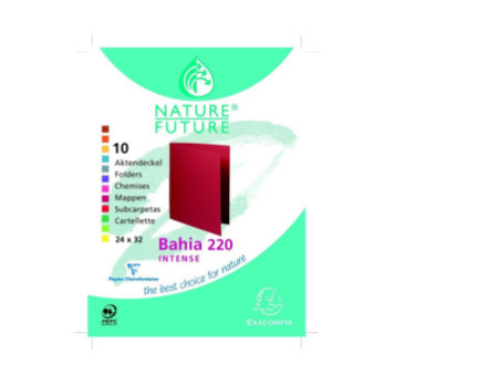 EXACOMPTA Chemises ROCK's, 210 g/m2, assorti