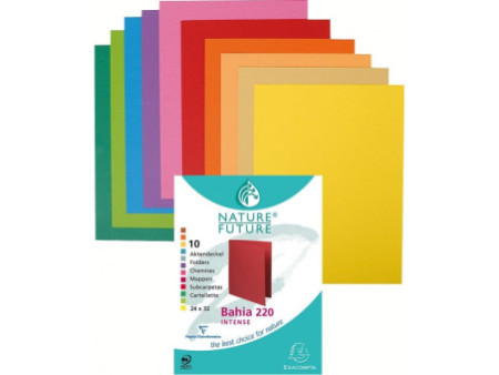 EXACOMPTA Chemises ROCK's, 210 g/m2, assorti