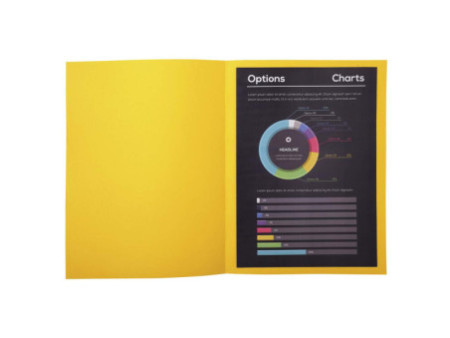EXACOMPTA Sous-chemises ROCK'S, 220 x 310 mm, jaune citron