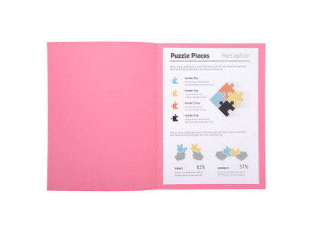 EXACOMPTA Chemises SUPER 250, A4, rose