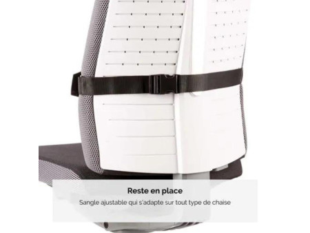 Fellowes Coussin lombaire PlushTouch, noir