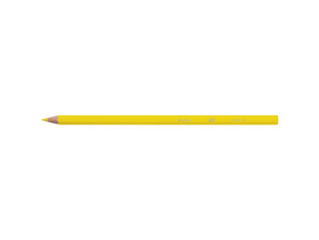 BIC KIDS Crayon de couleur Evolution ecolutions, étui en