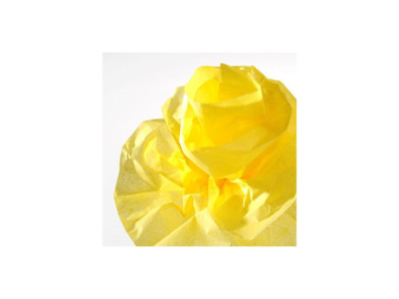 CANSON Papier de soie, 0,5 x 5,0 m, 20 g/m2, jaune citron
