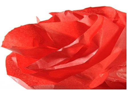 CANSON Papier de soie, 0,5 x 5,0 m, 20 g/m2, rouge vif
